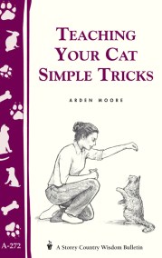 Teaching Your Cat Simple Tricks 